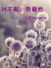 对不起,我爱他封面