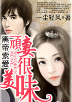 黑帝索爱:顽妻很美味封面