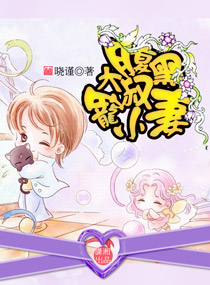 腹黑大叔宠小妻封面