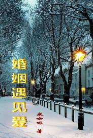 婚姻遇见爱 婚姻遇见爱