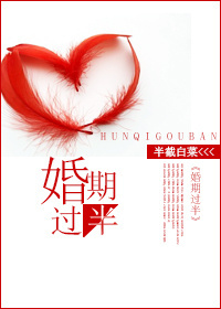 婚期过半封面