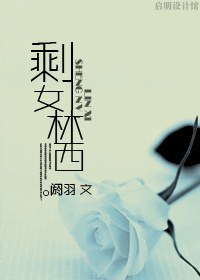 剩女林西封面