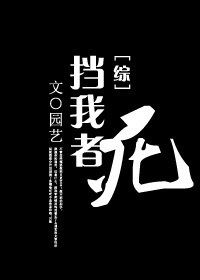 (综同人)挡我者,死封面