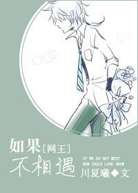 如果不相遇封面