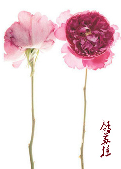 (��ͬ��)[��]�������