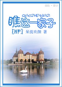 瞧这一家子封面