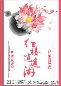 红楼逍遥游封面