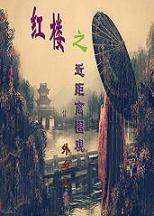 (红楼同人)红楼之近距离围观封面