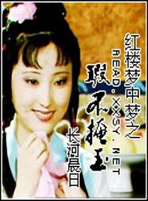 (红楼同人)红楼梦中梦之瑕不掩玉封面
