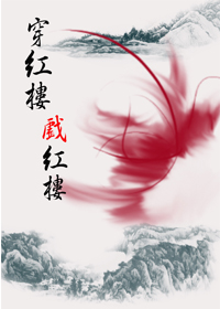 (红楼同人)穿红楼戏红楼封面