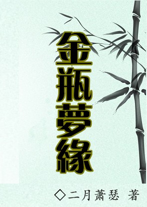 金瓶梦缘封面