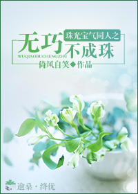 珠光宝气同人之无巧不成珠封面
