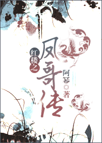 红楼之凤哥传封面