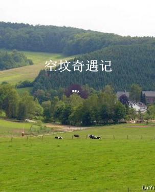 空坟奇遇记 空坟奇遇记