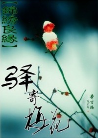 锦绣良缘之驿寄梅花 锦绣良缘之驿寄梅花