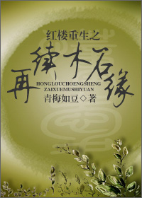 红楼重生之再续木石缘封面