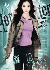 麻瓜的巫师生活封面