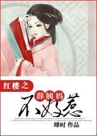 (红楼同人)红楼之薛姨妈不好惹封面