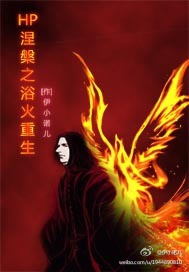 HP涅槃之浴火重生封面