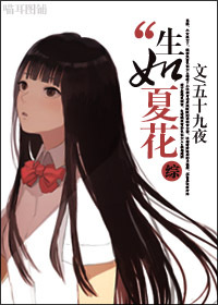 综之生如夏花封面