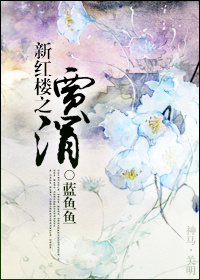 新红楼之贾涓封面