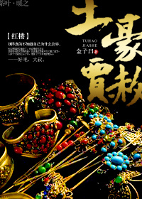 红楼之土豪贾赦封面