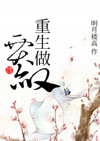 重生做贾赦封面