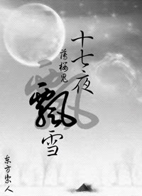 (薄樱鬼同人)十七夜飘雪封面