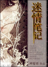 迷情笔记封面