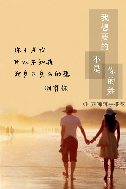 我想要的不是你的姓封面