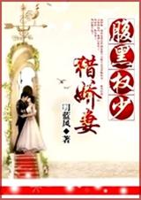 腹黑权少猎娇妻 全封面