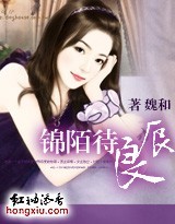 锦陌待良辰封面