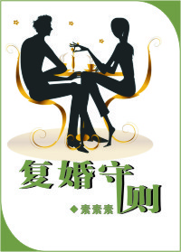 复婚守则封面