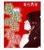 总裁的钻石情人封面