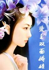 ����˫�潿�޷���