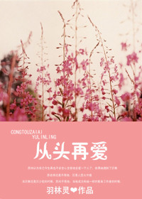 从头再爱 从头再爱