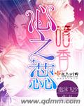 暗香心之蕊封面