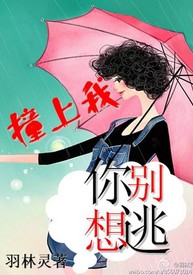 撞上我,你别想逃封面