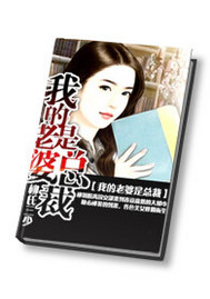 我的老婆是总裁封面