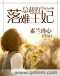 总裁的落难王妃封面