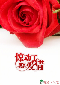 惊动了爱情封面
