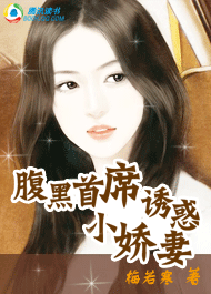 诱惑小娇妻封面