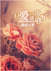只爱一次就够了封面