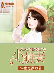 小萌妻封面