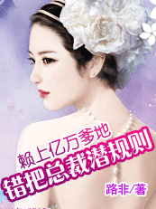 错把总裁潜规则封面