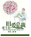 旧爱总裁求上位封面