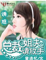 总裁姐夫请放手封面