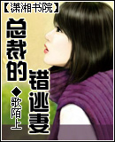 总裁的错逃妻封面