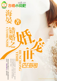 错婚之婚宠一世封面