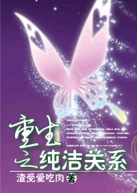 重生之纯洁关系封面